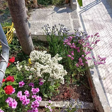 Rania's House